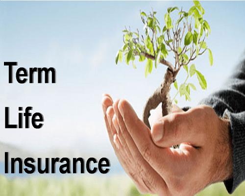 A Guide to Choosing the Right Life Insurance