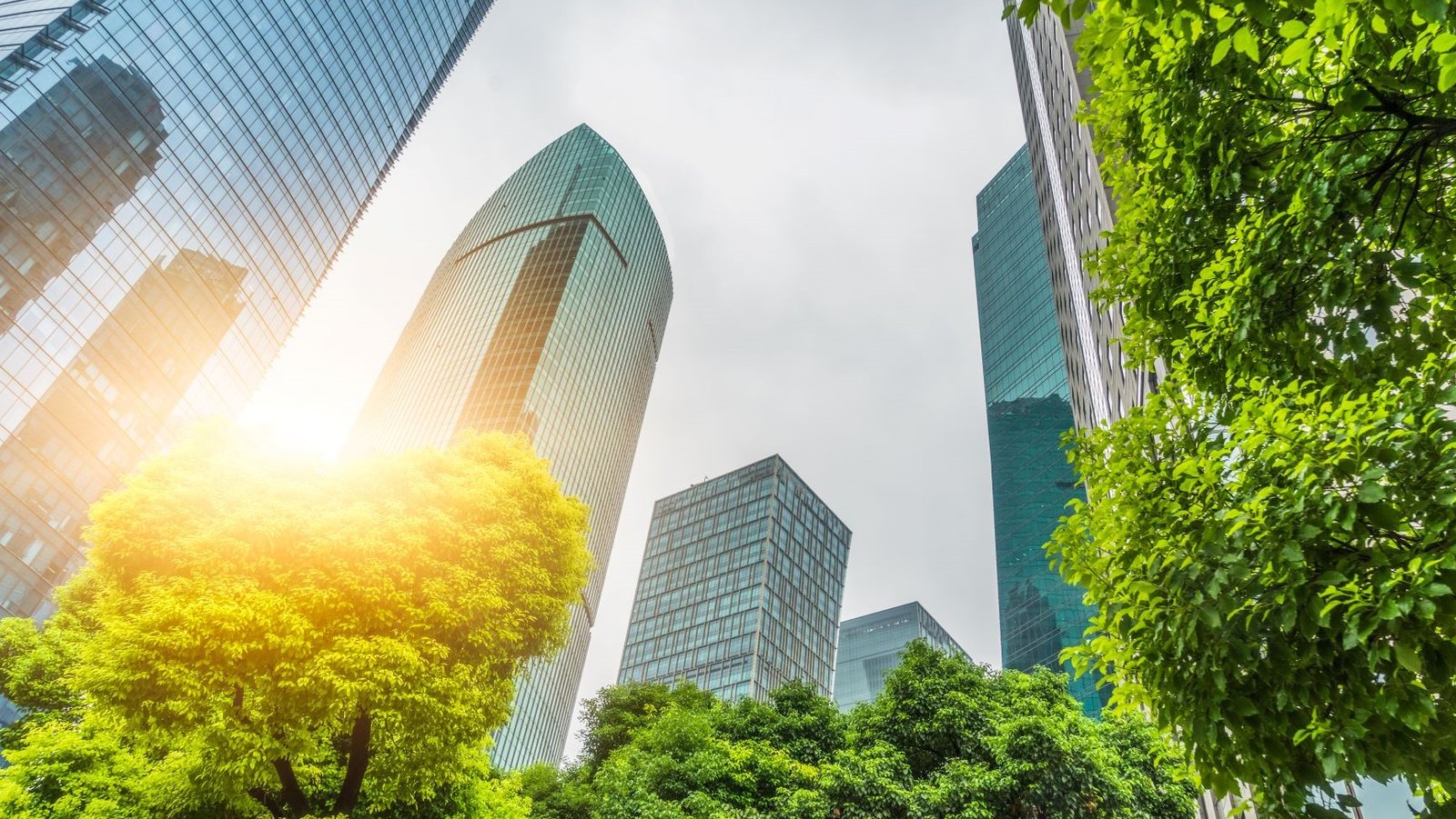 Green Business, Blue Skies: Sustainability and Insurance in the Corporate World: