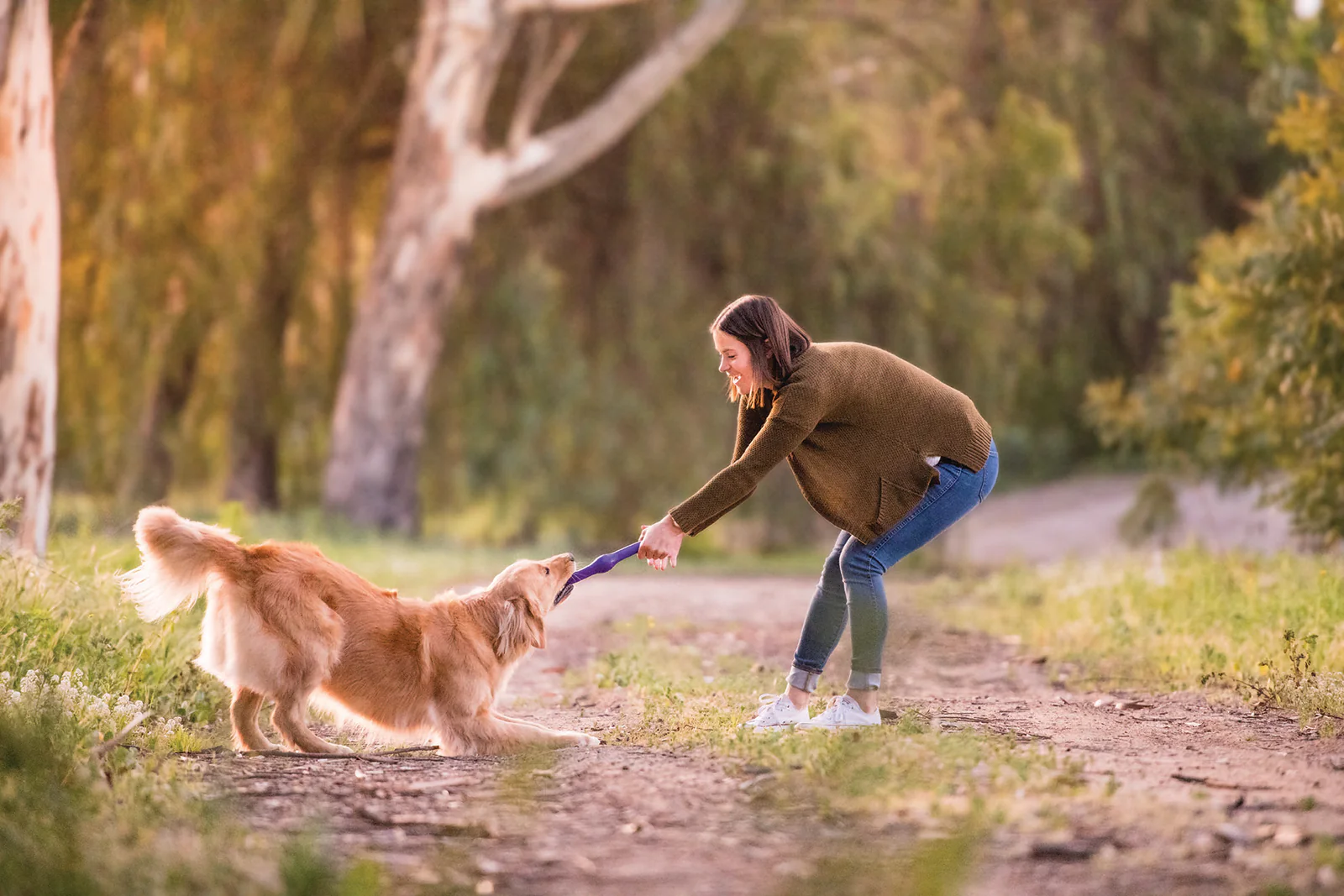 Guardians of Whiskers and Wagging Tails: Navigating the Pet Insurance World