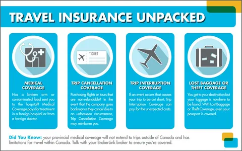 Navigating the Travel Insurance Maze: Annual vs. Single-Trip Coverage